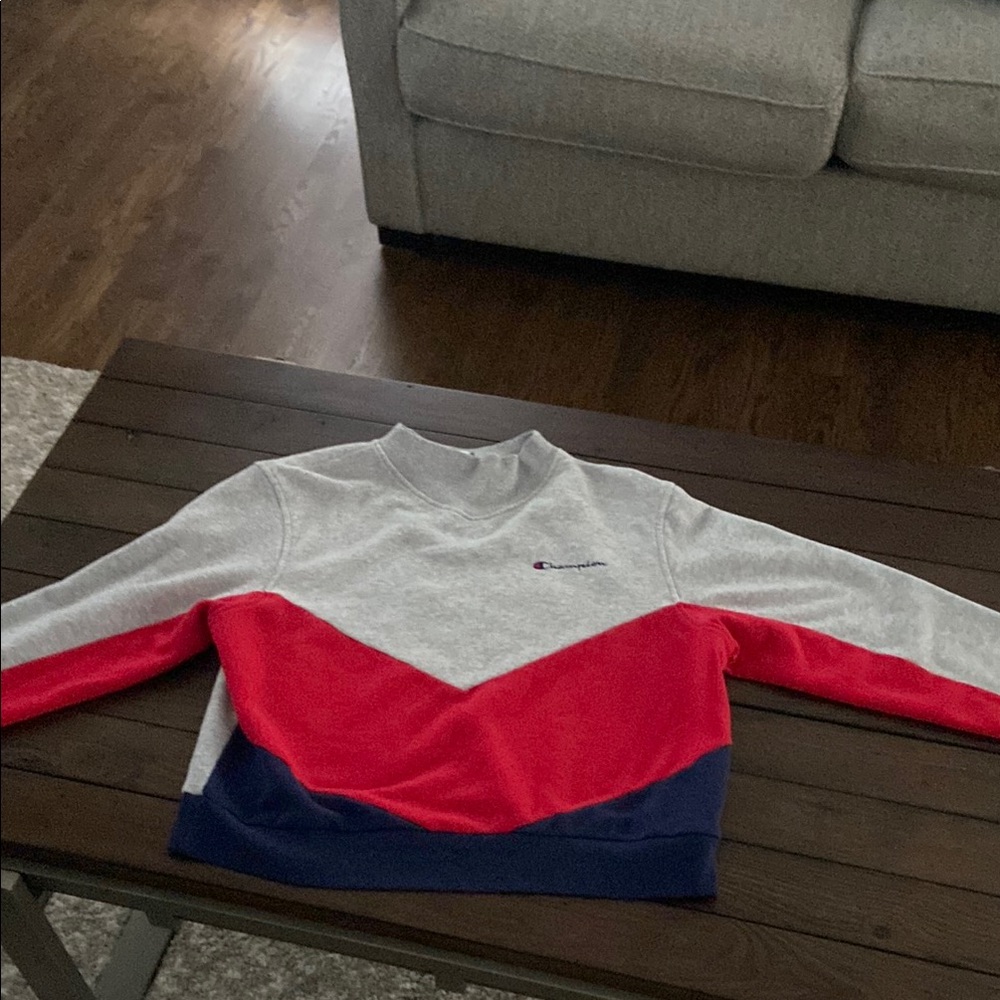 Vintage Champion Stripe Colorblock
Cropped Sweatshirt